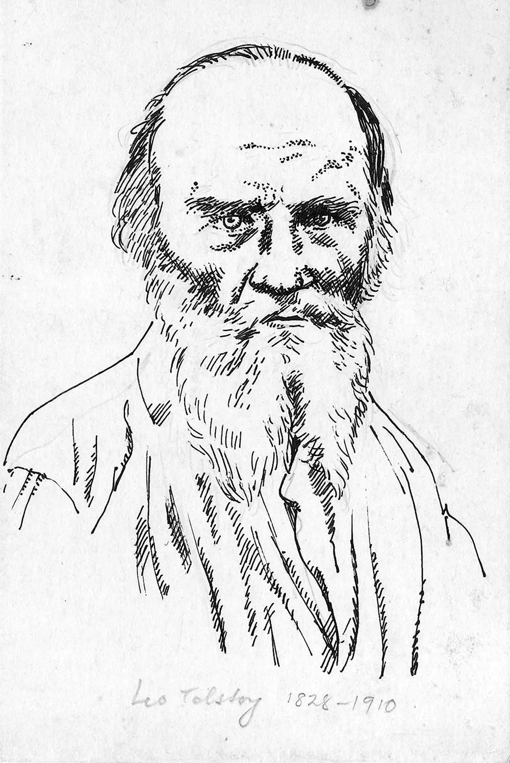 Портрет Льва Николаевича Толстого карандашом