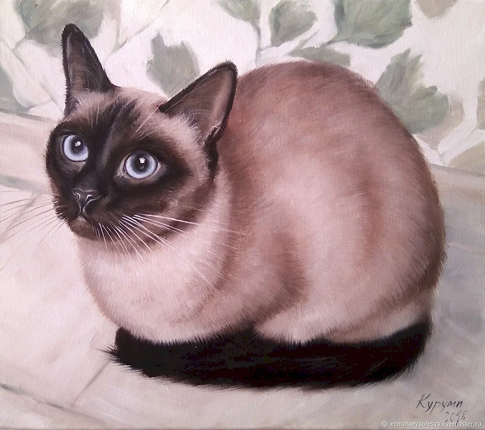Портрет сиамской кошки