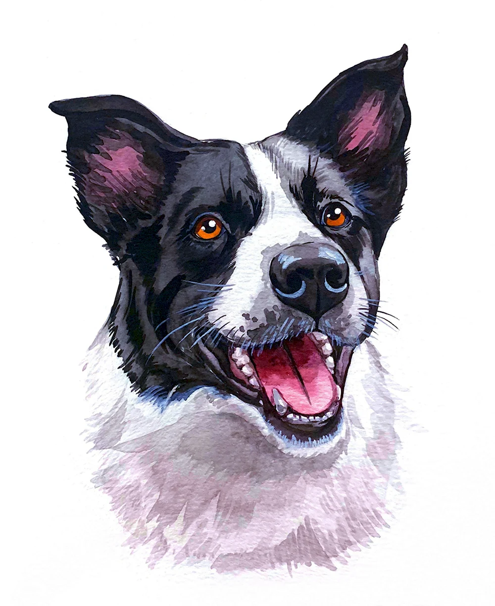 Портреты собак вектор