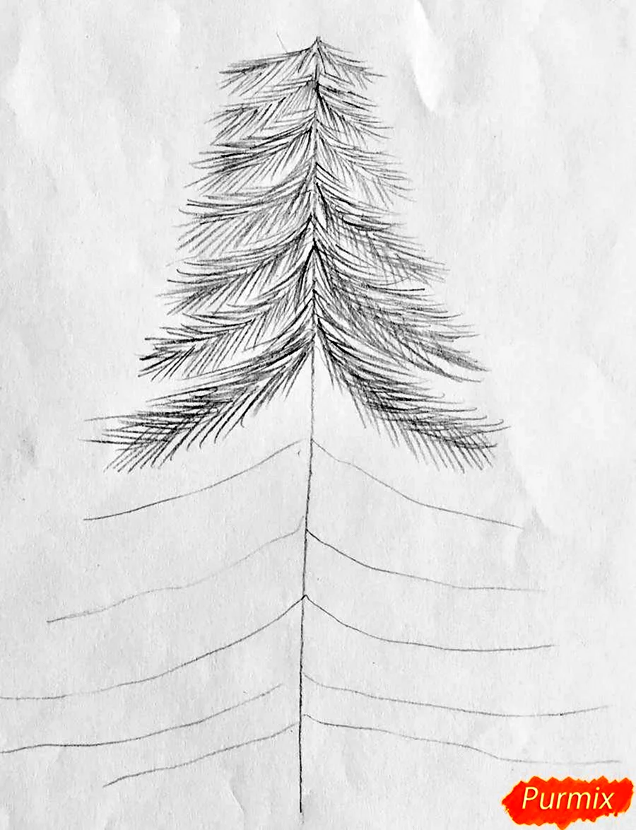 Пошаговое рисование елки