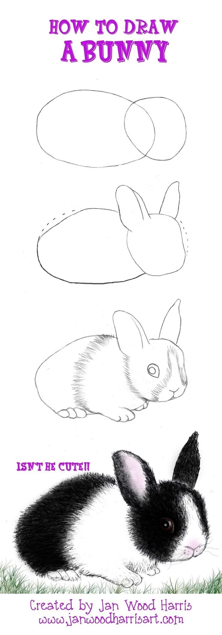 Пошаговое рисование кролика