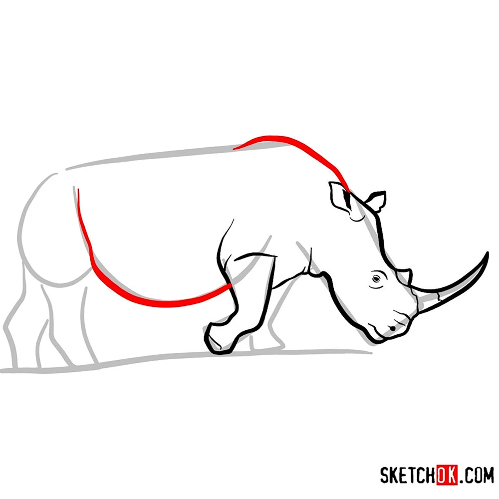 Пошаговое рисование носорога