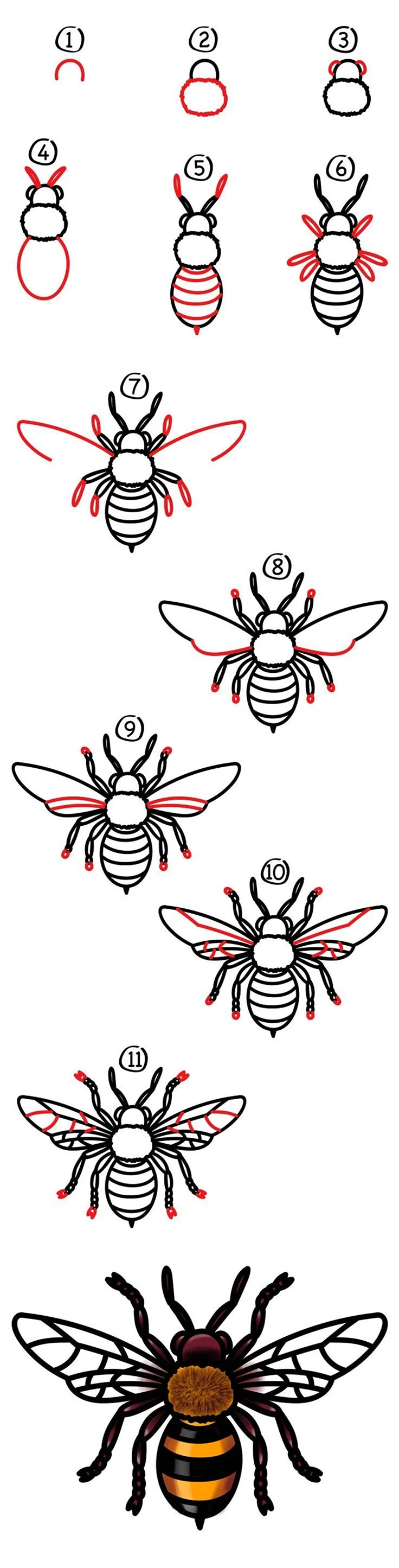 Пошаговое рисование пчелы