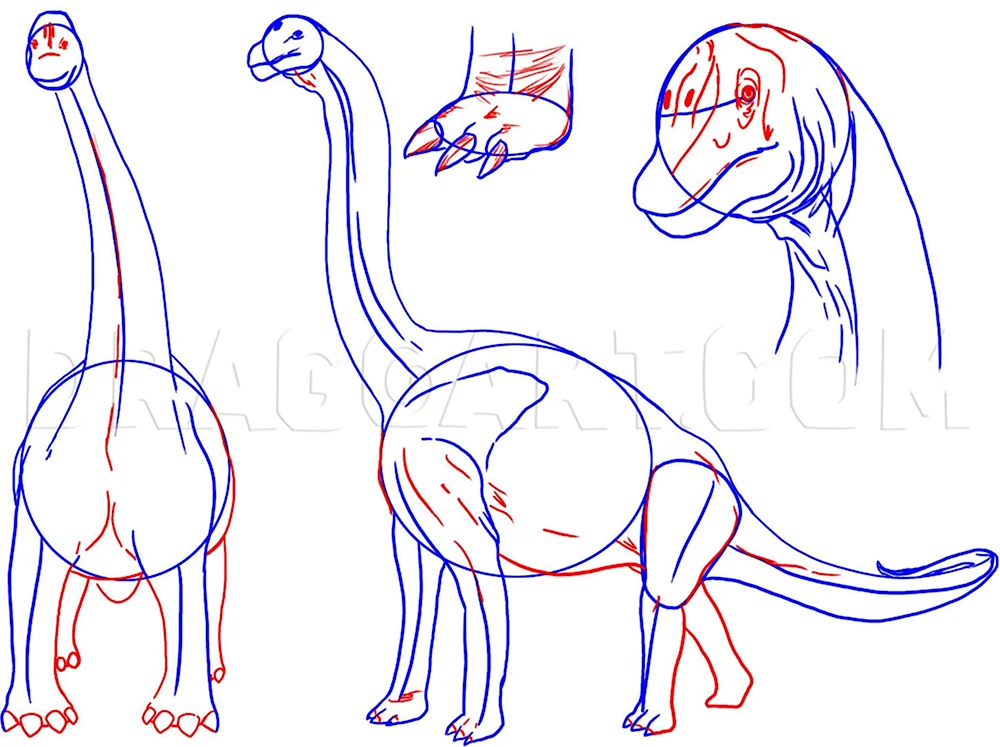 Пошаговое рисование реалистичного динозавра