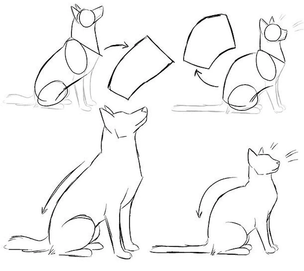 Позы кошек карандашом