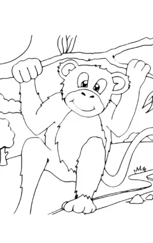 Про обезьянку Житков раскраска