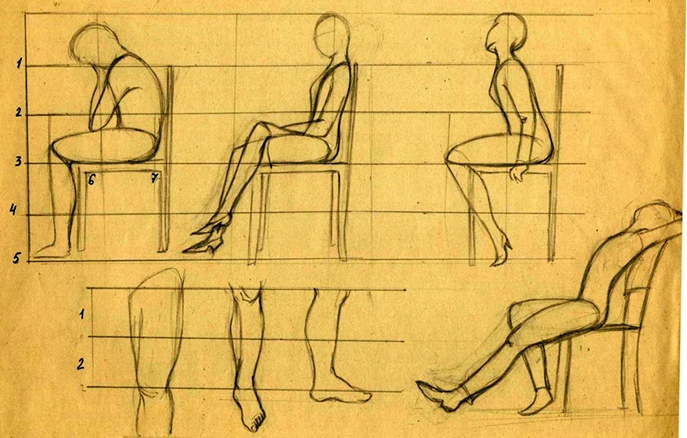 Пропорции человека сидя