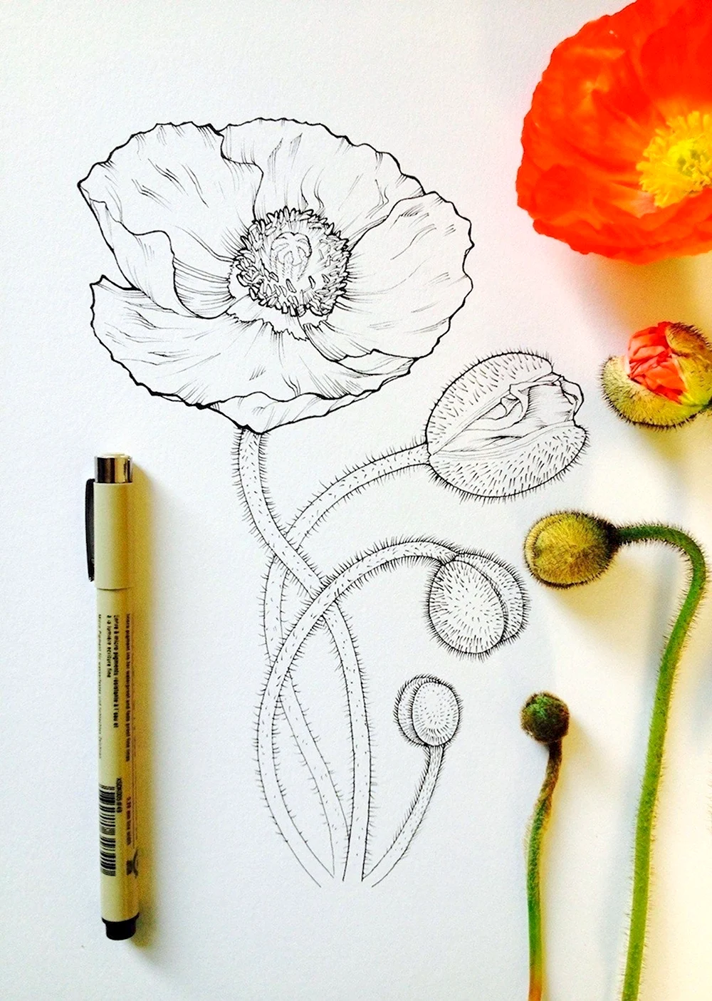 Простые идеи для рисования цветы