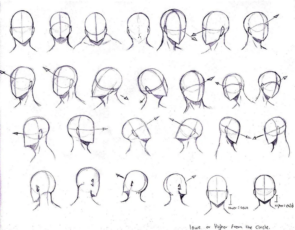 Ракурсы головы для рисования