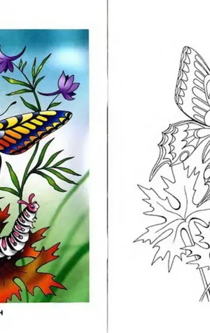 Раскраска бабочек по образцу
