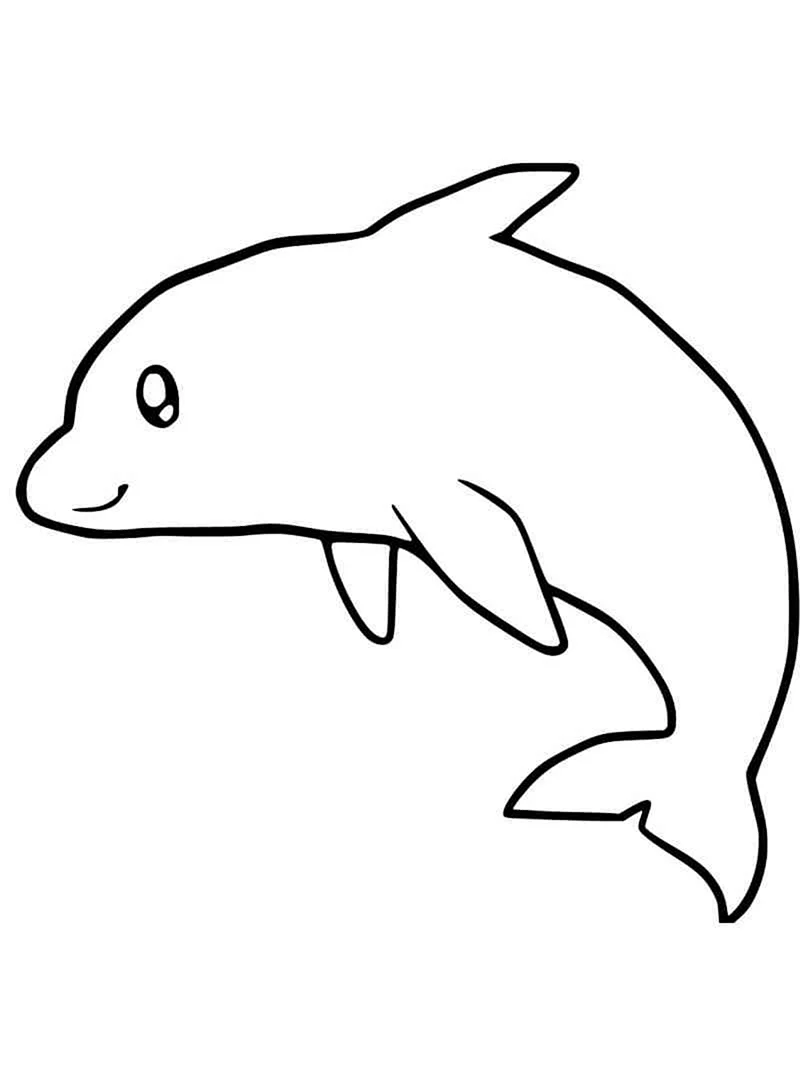 Раскраска дельфина