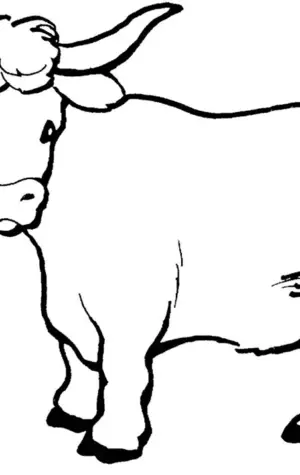 Раскраска корова