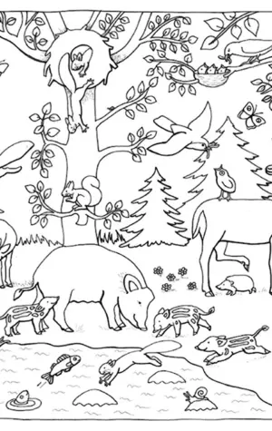 Раскраска Лесные животные