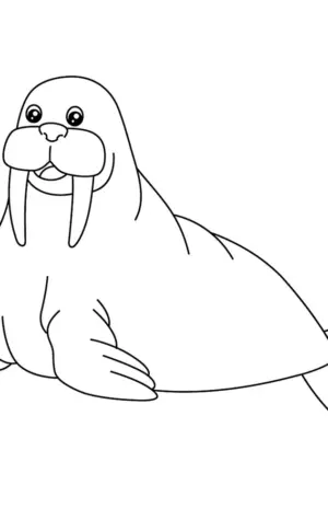 Раскраска моржи арктические