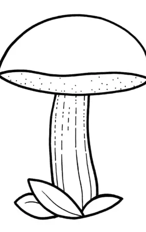 Раскраска обабки гриб