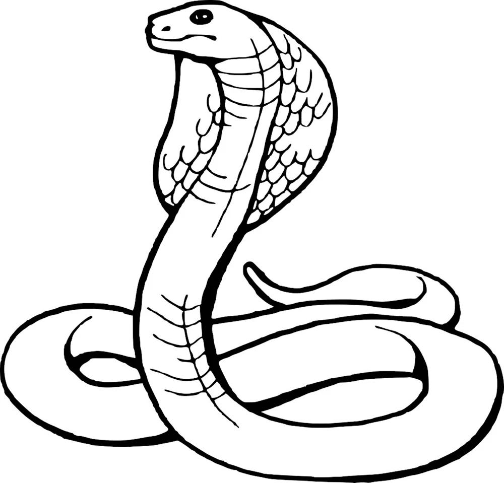 Раскраска змея щитомордник