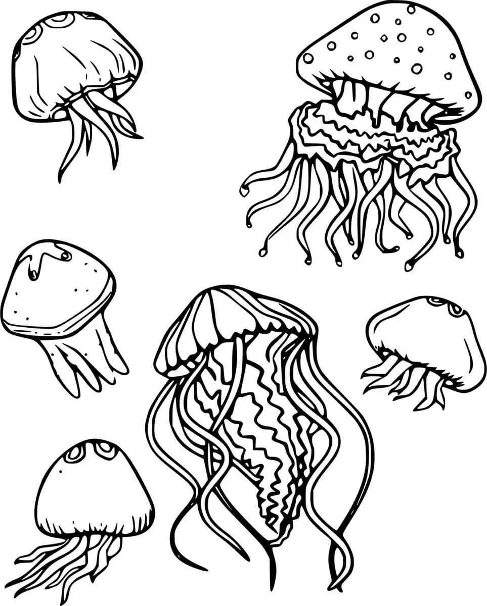 Раскраски медузы для детей 6-7 лет