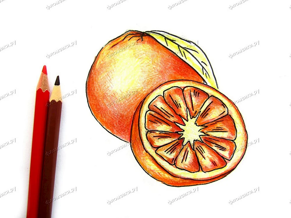 Разрезанный апельсин рисунок карандашом