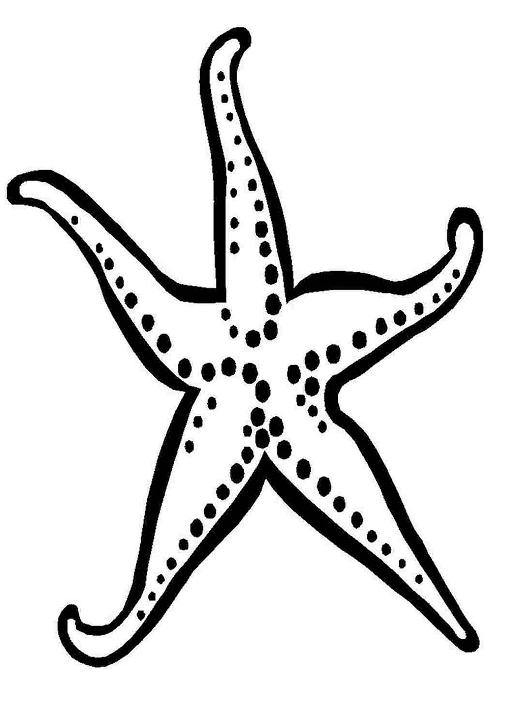 Разукрашка для детей морская звезда