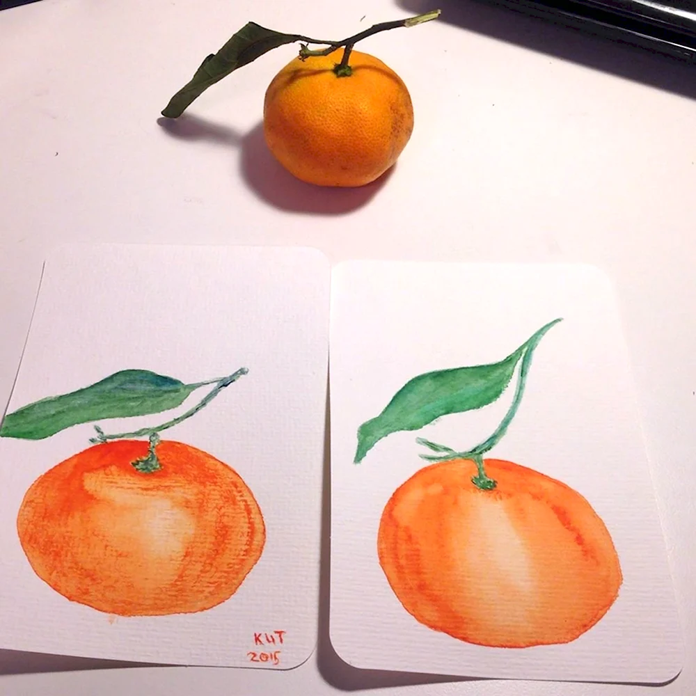 Рисование апельсина в старшей группе
