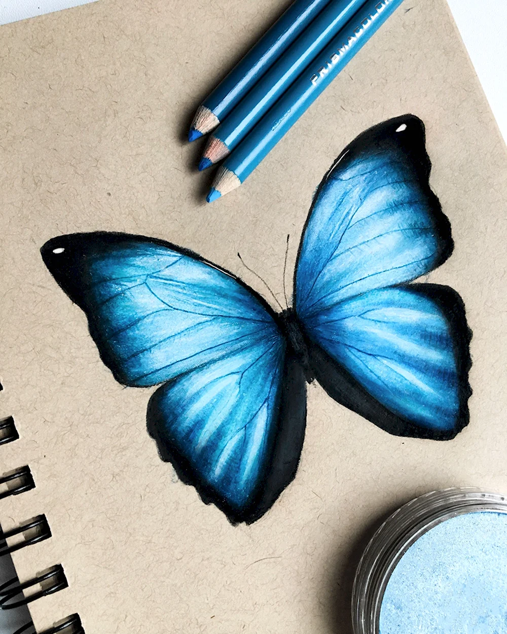 Рисование бабочек цветными карандашами
