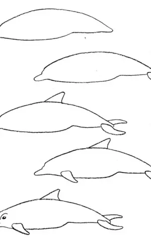 Рисование дельфина