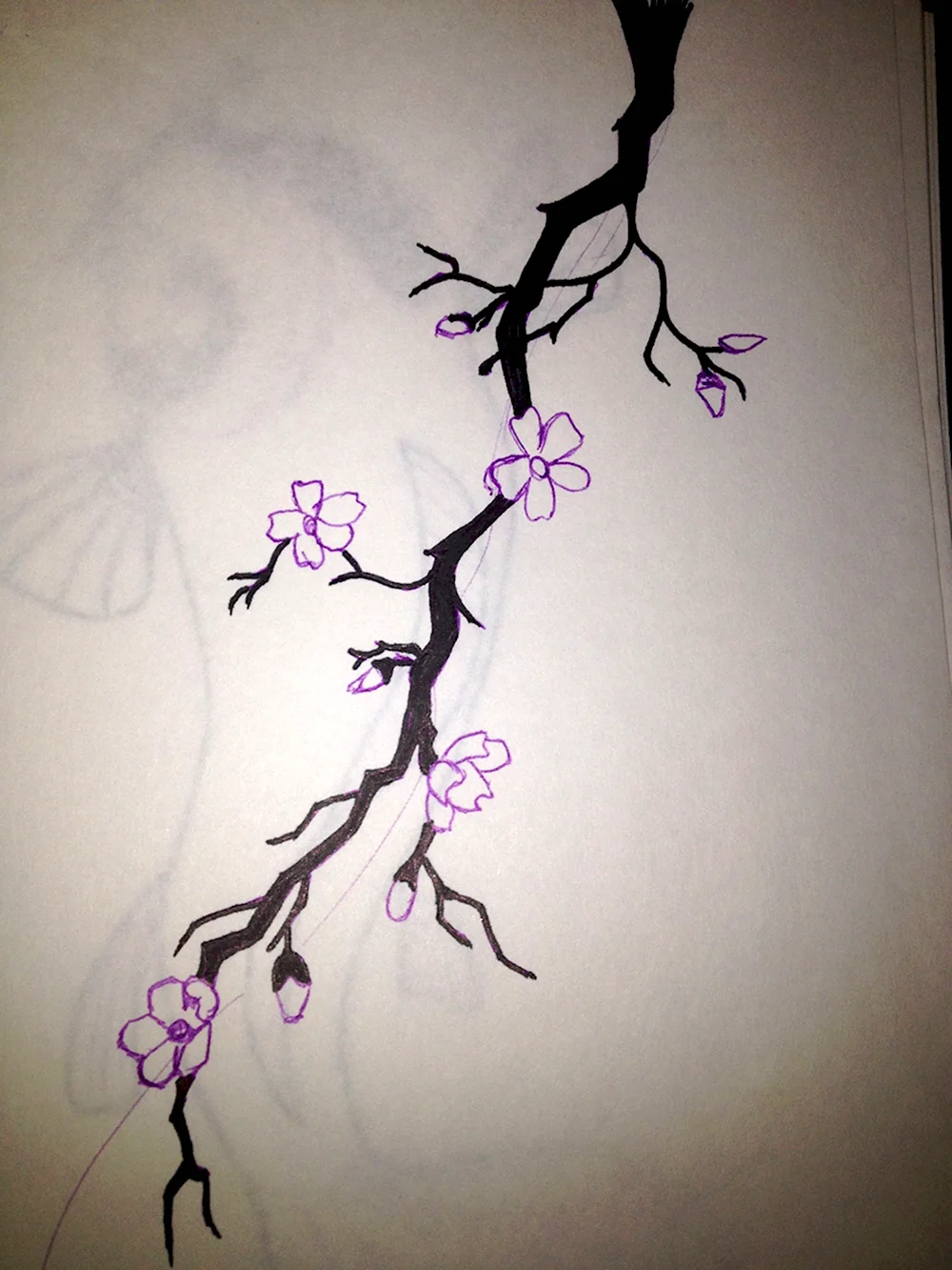 Рисование дерева Сакуры