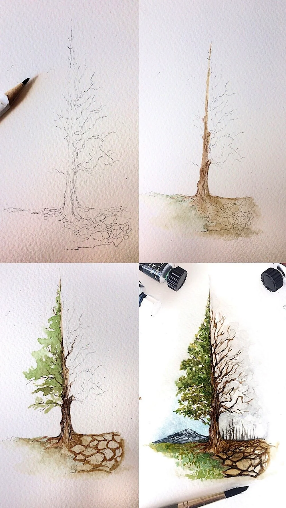 Рисование деревьев акварелью