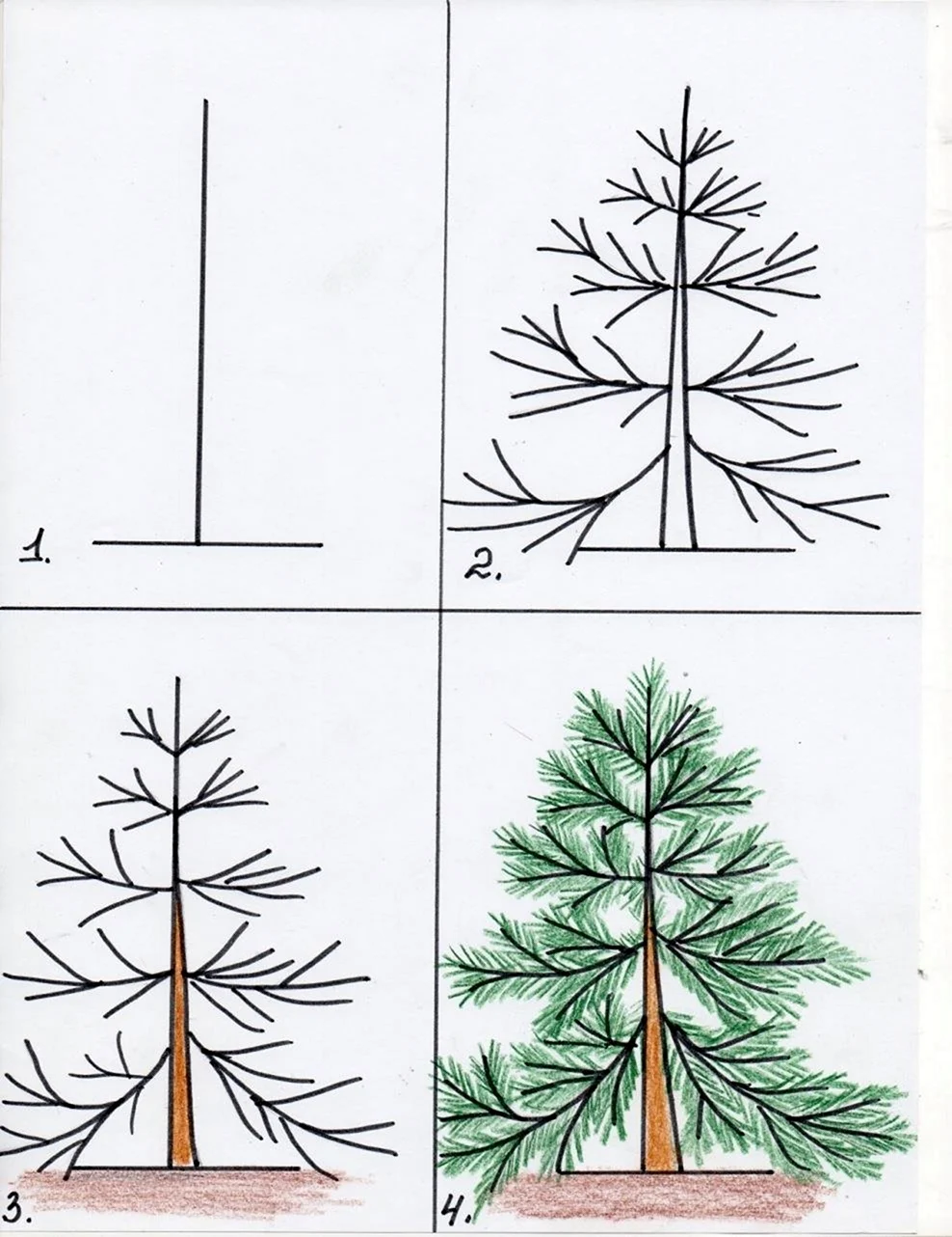 Рисование деревьев для дошкольников