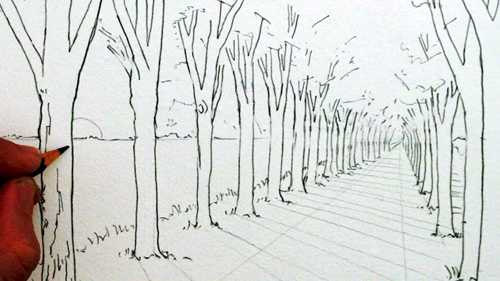 Рисование деревьев в перспективе