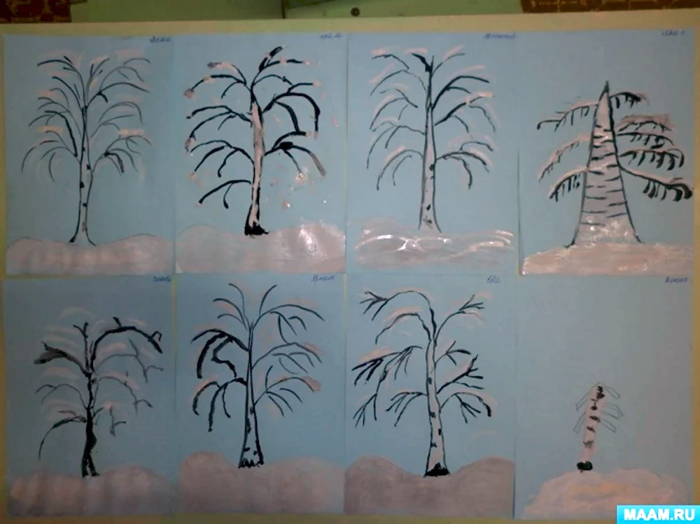 Рисование деревьев в старшей группе