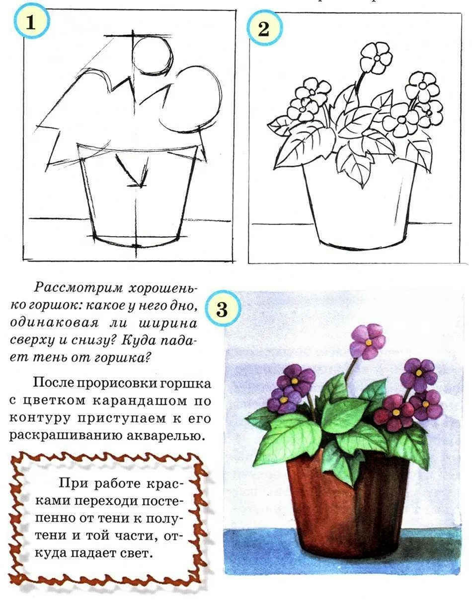 Рисование для детей комнатные растения