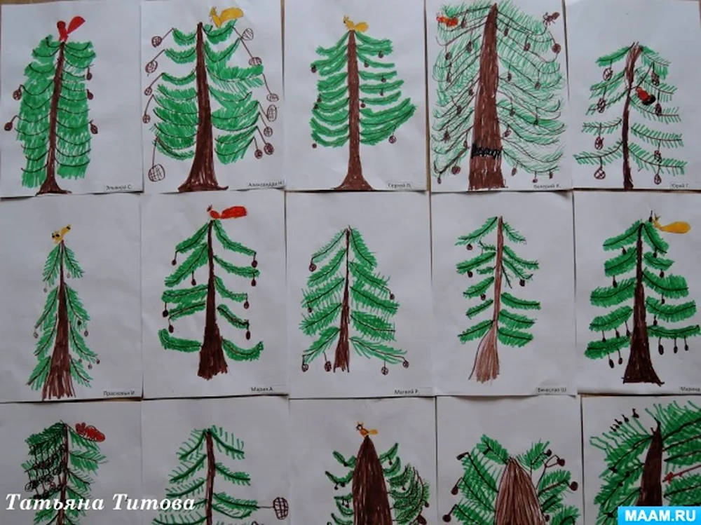 Рисование елки в средней группе