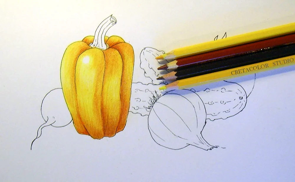 Рисование фруктов и овощей карандашом