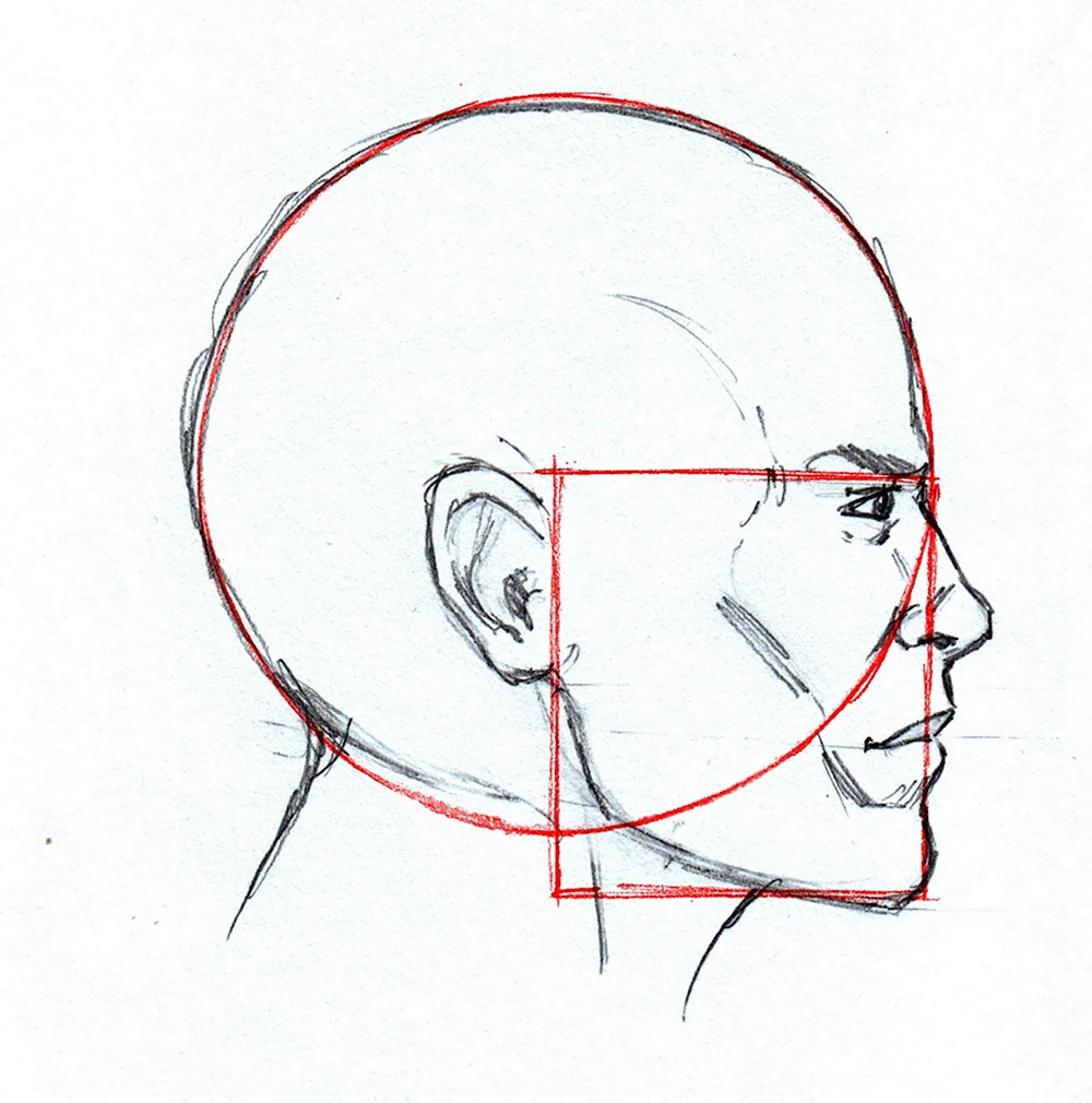 Рисование головы человека в профиль