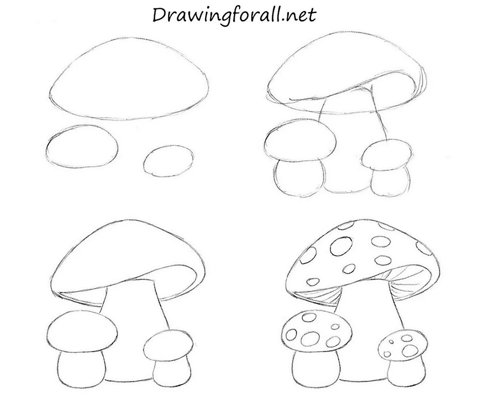 Рисование грибов в старшей группе
