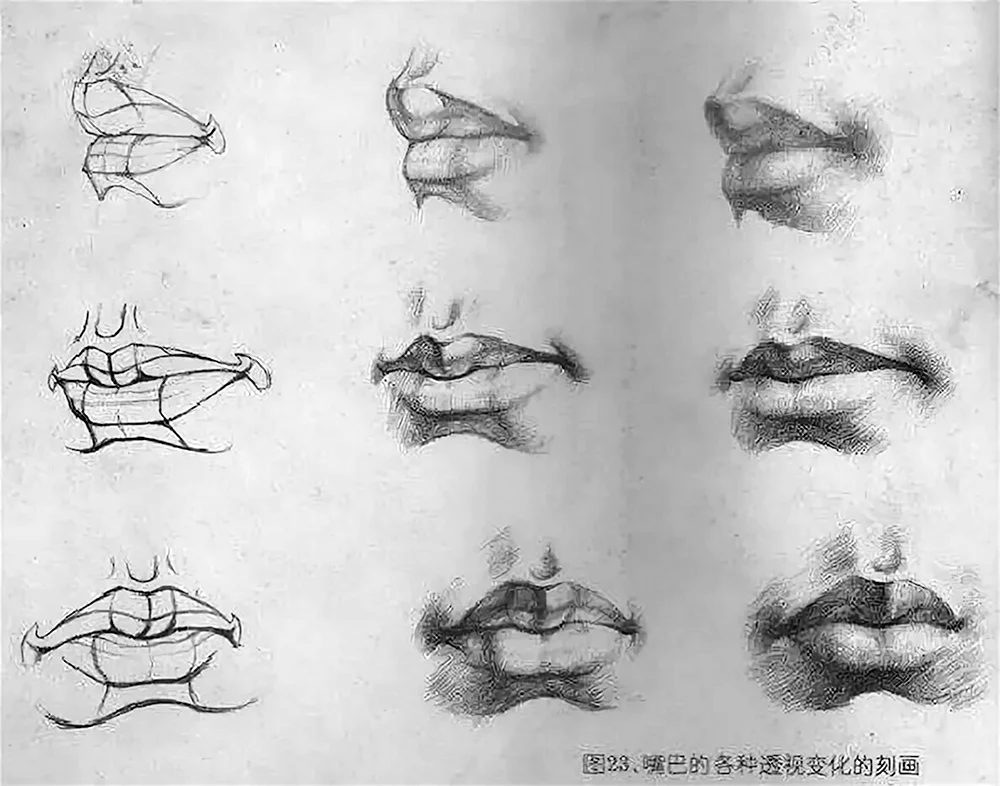 Рисование губ с разных ракурсов