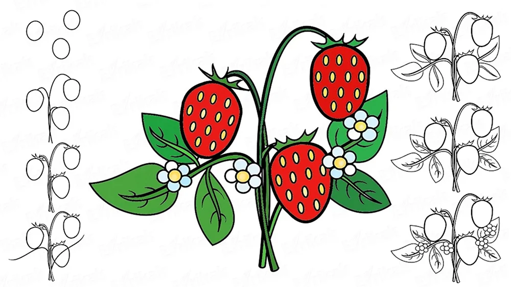 Рисование ягоды