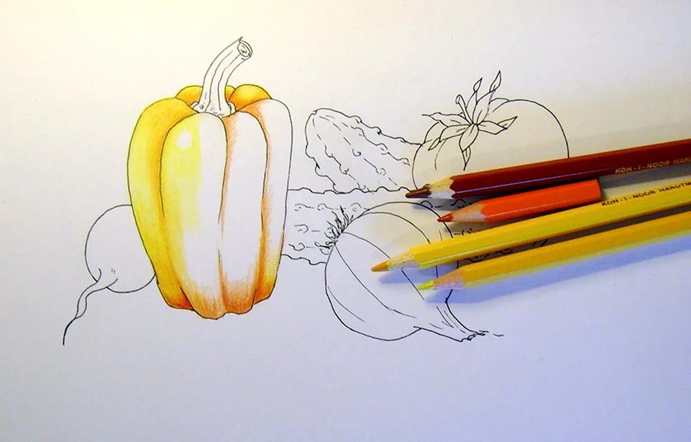 Рисование карандашом фрукты и овощи