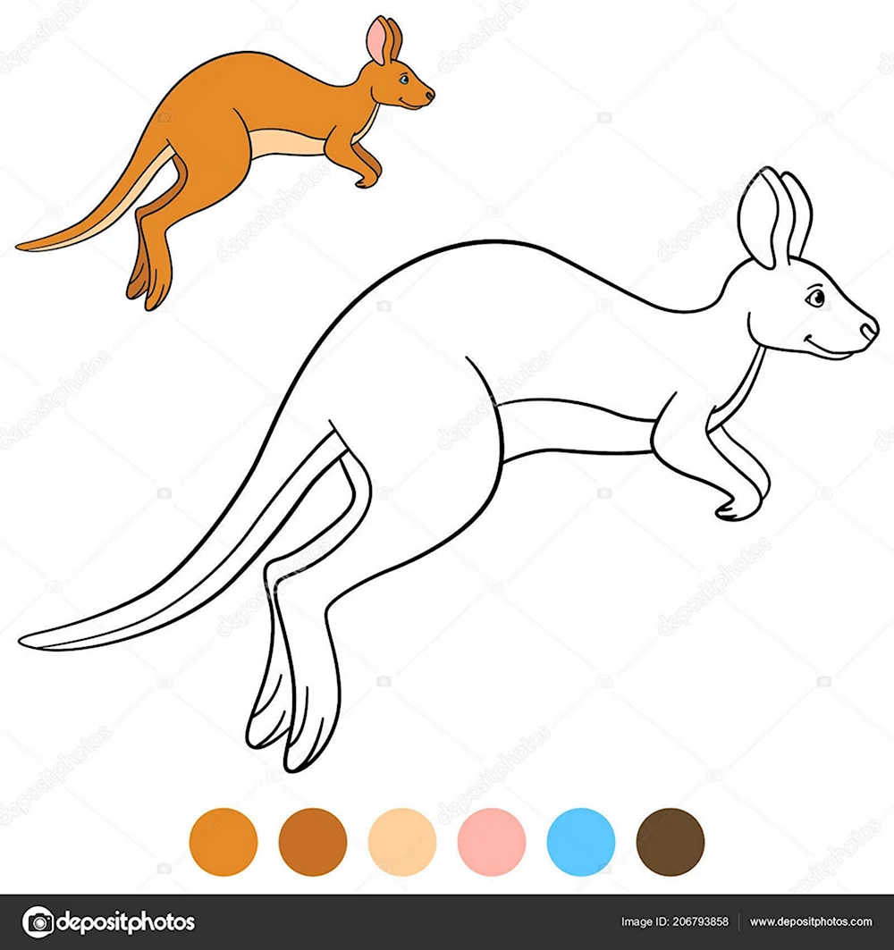 Рисование кенгуру подготовительная группа