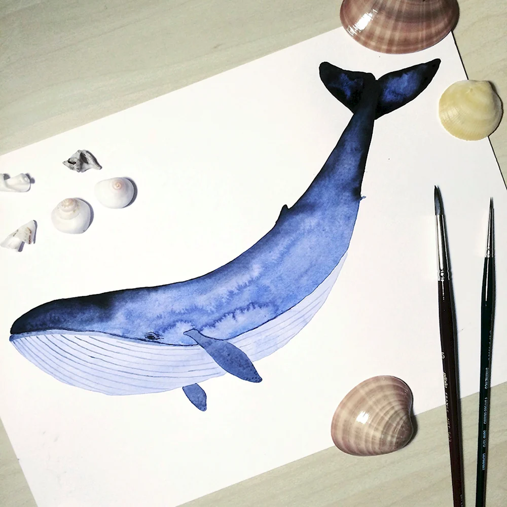 Рисование кита