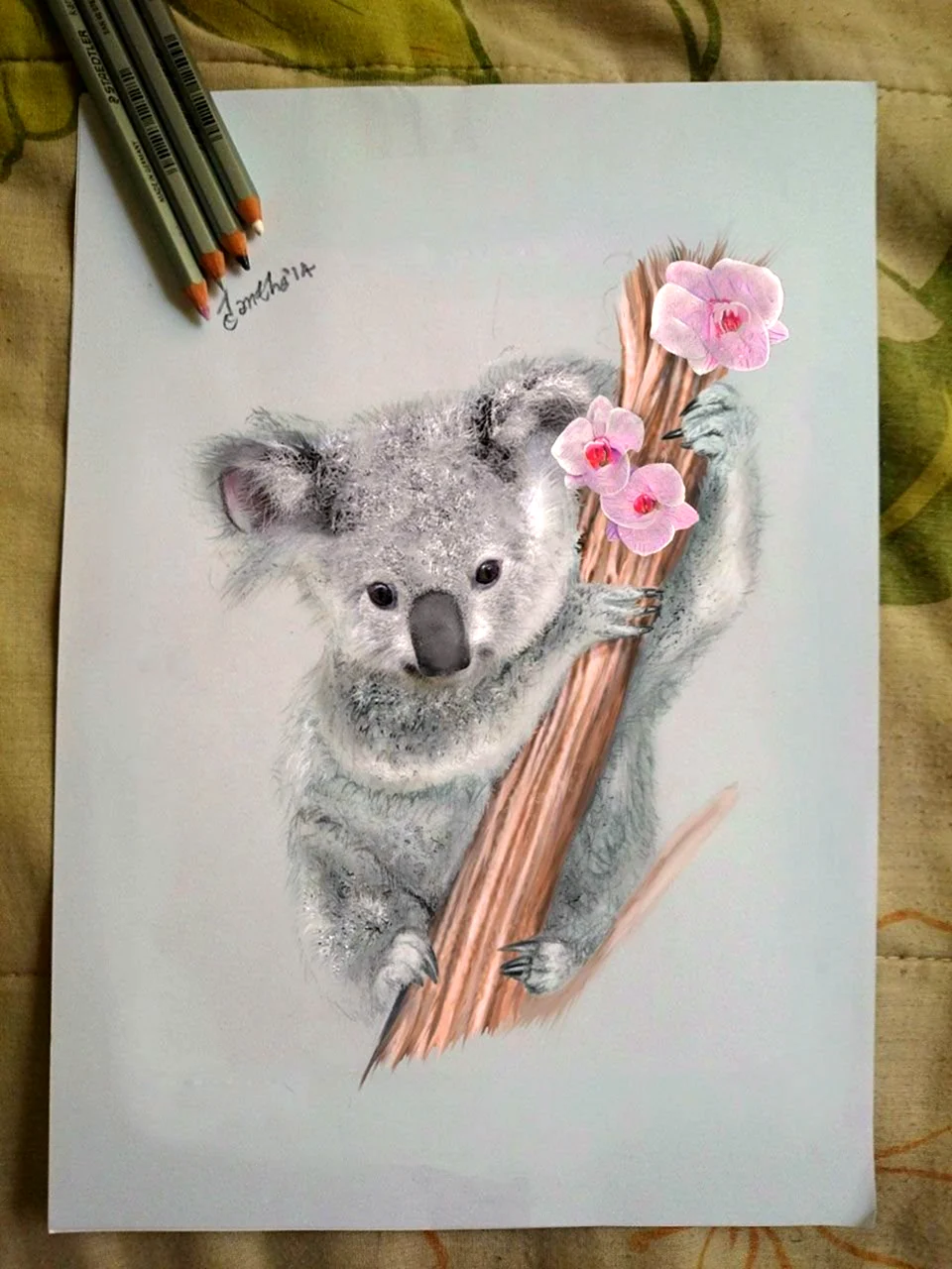 Рисование коала