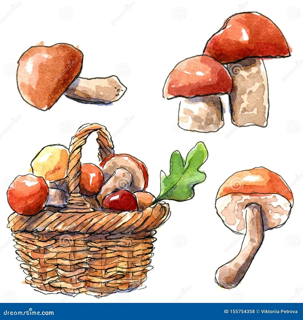 Рисование корзина с грибами