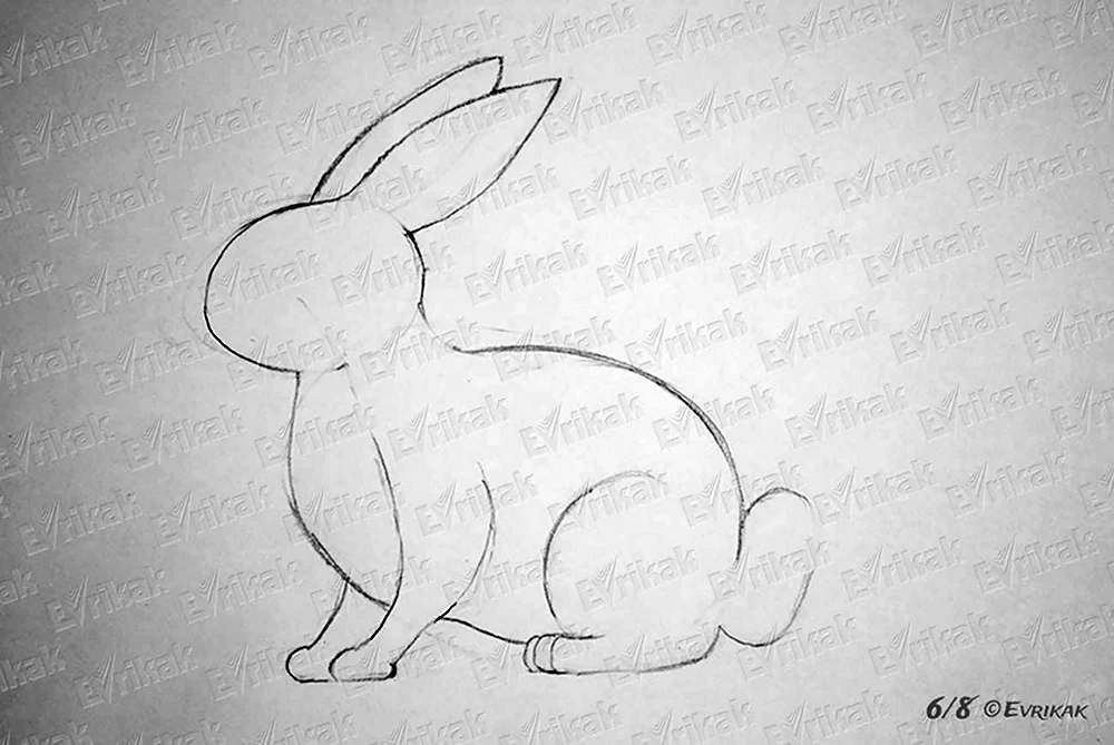Рисование кролика в средней группе
