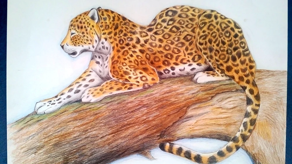Рисование леопарда