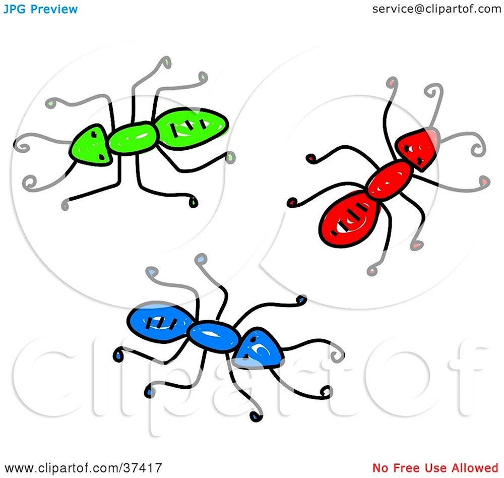 Рисование муравья в средней группе