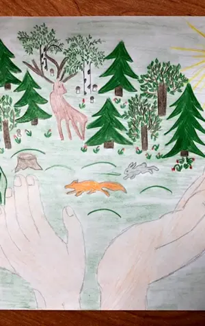 Рисование на тему лес наше богатство