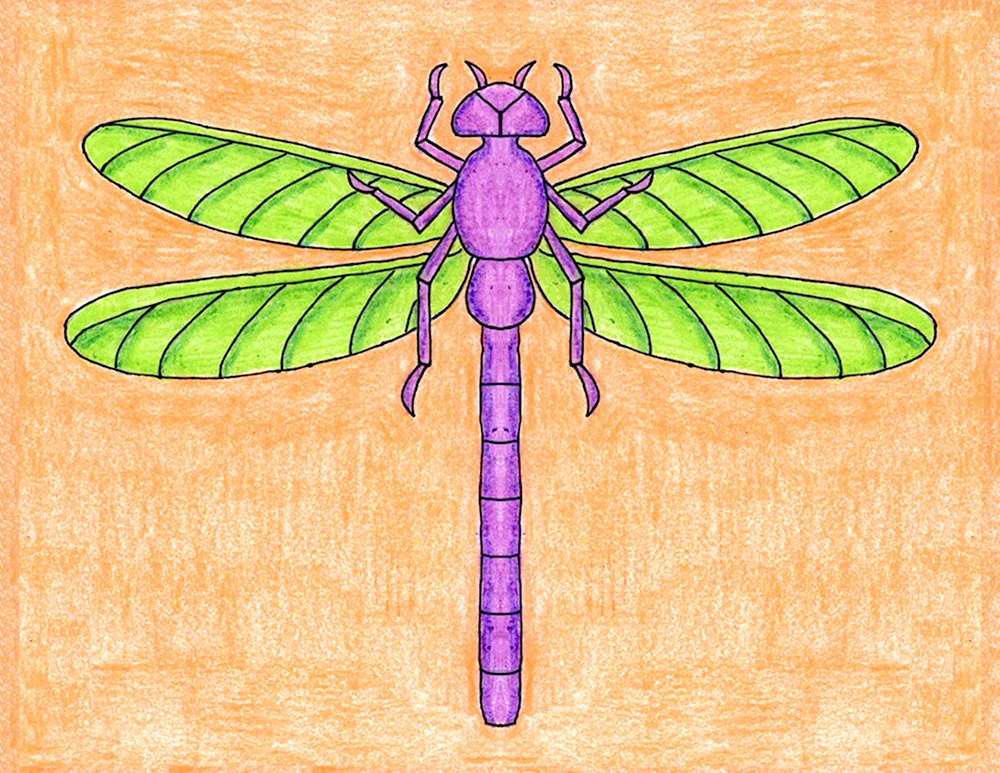 Рисование насекомые