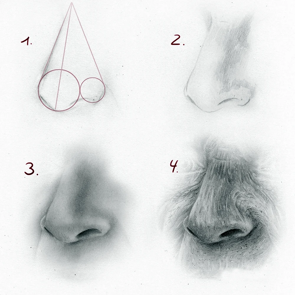 Рисование носа