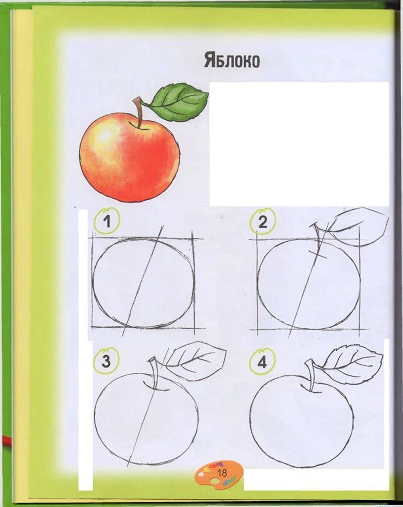 Рисование овощей и фруктов